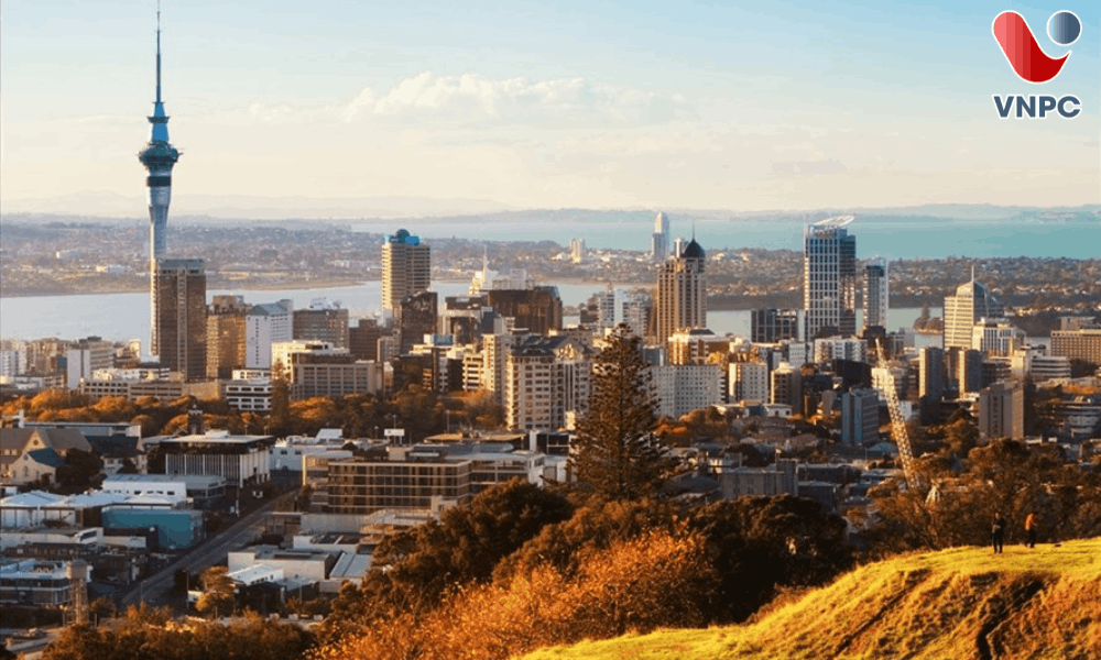 New Zealand Ở Châu Nào? Vị Trí, Địa Lý Và Những Điều Cần Biết